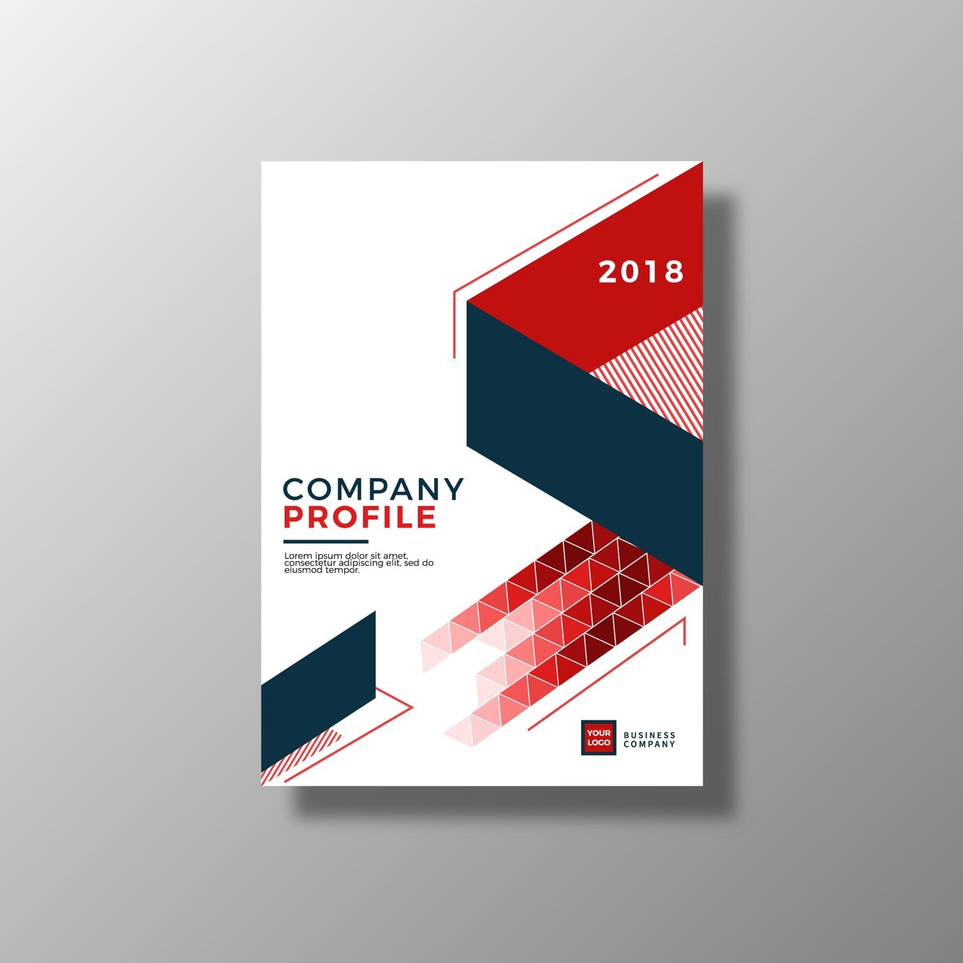 Company Profile-12 Page Cover Image